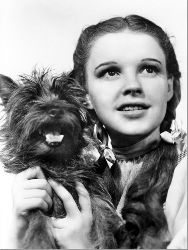 Plakat Judy Garland, the Wizard of Oz