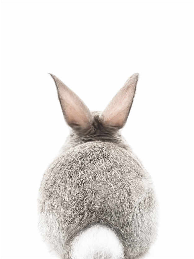 Plakat Bunny tail