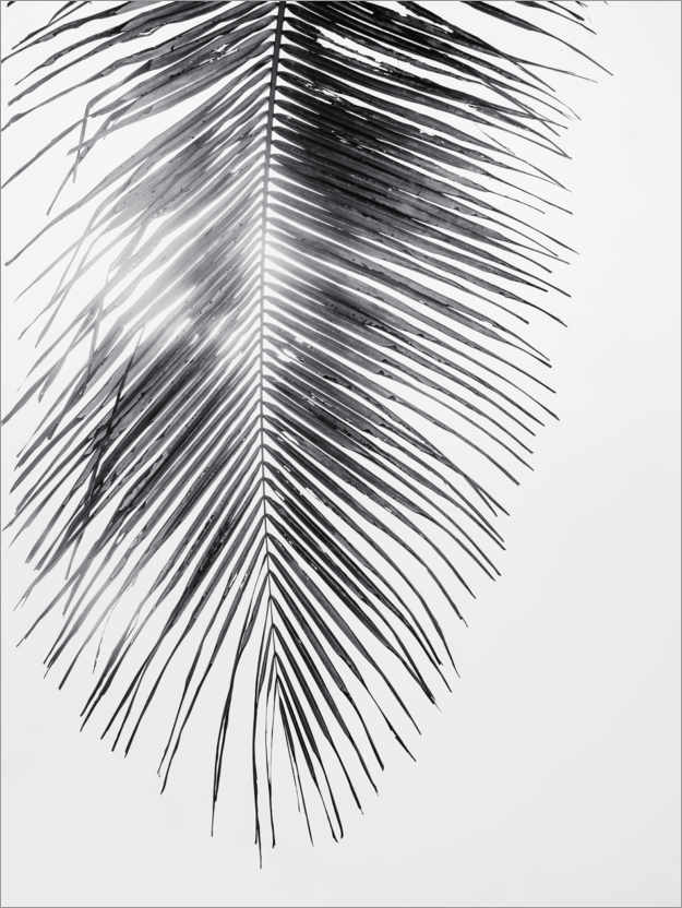 Plakat Palm tree IV