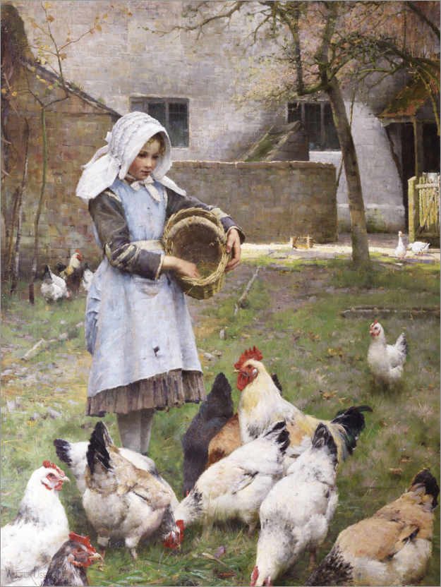 Plakat Feeding the chickens