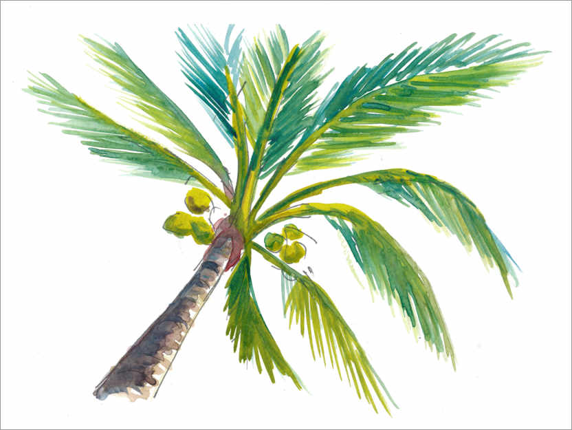 Plakat Tropical palm leaf