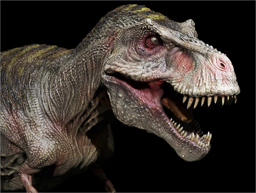 Plakat Tyrannosaurus portrait