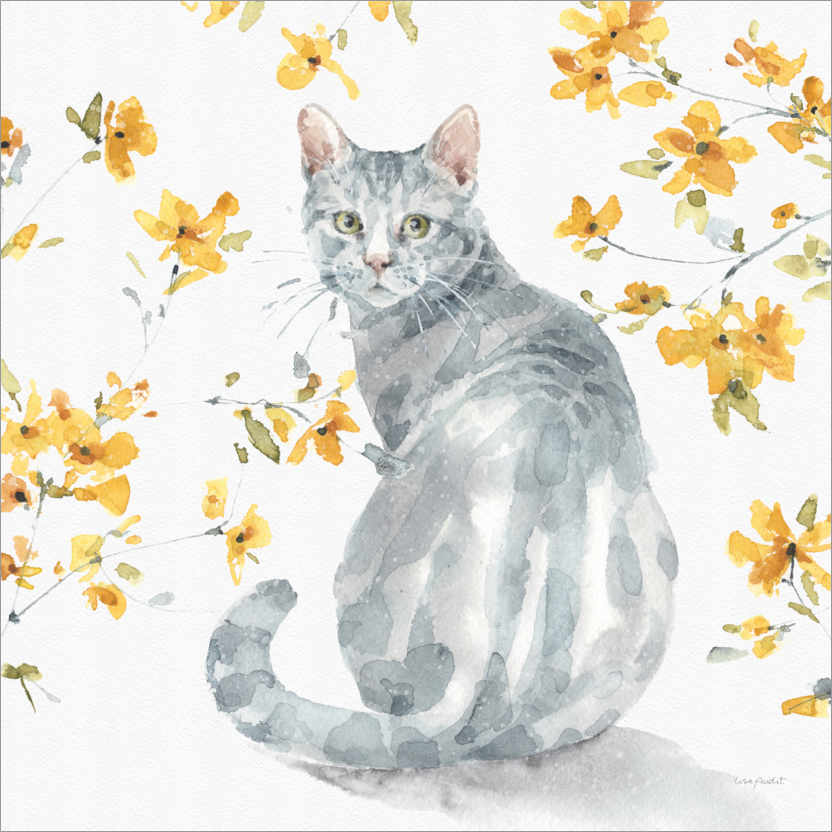 Plakat Tabby tomcat with yellow flower branches