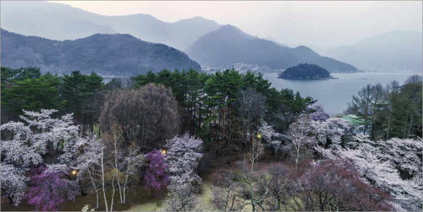 Plakat Spring in Fuji Hakone