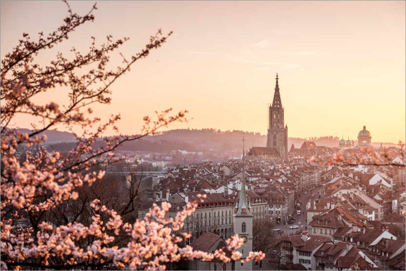 Plakat Sunset over the city of Bern during cherry blossom