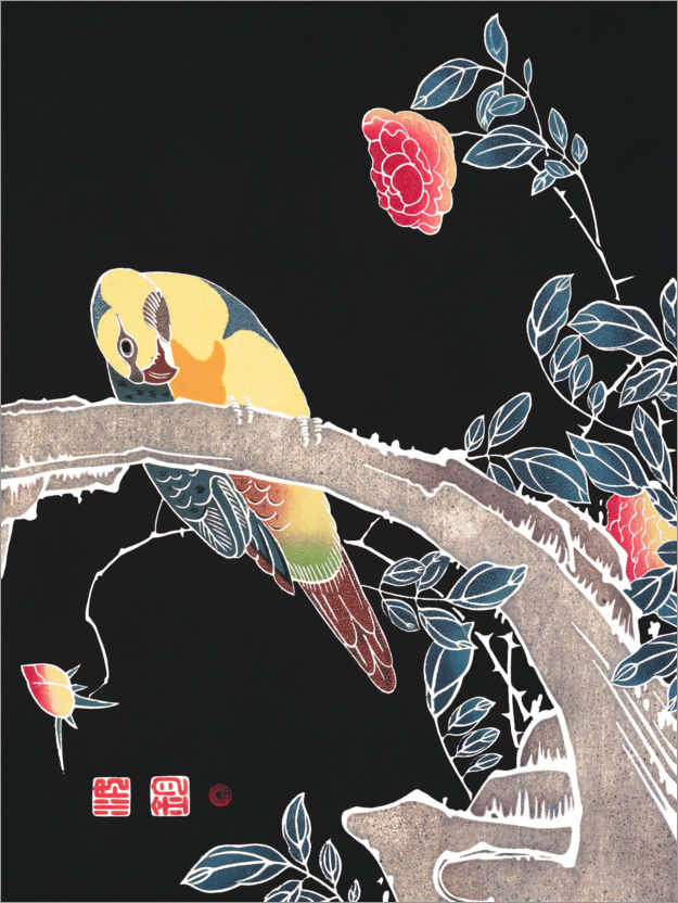 Plakat Papuga na gałęzi koło róży