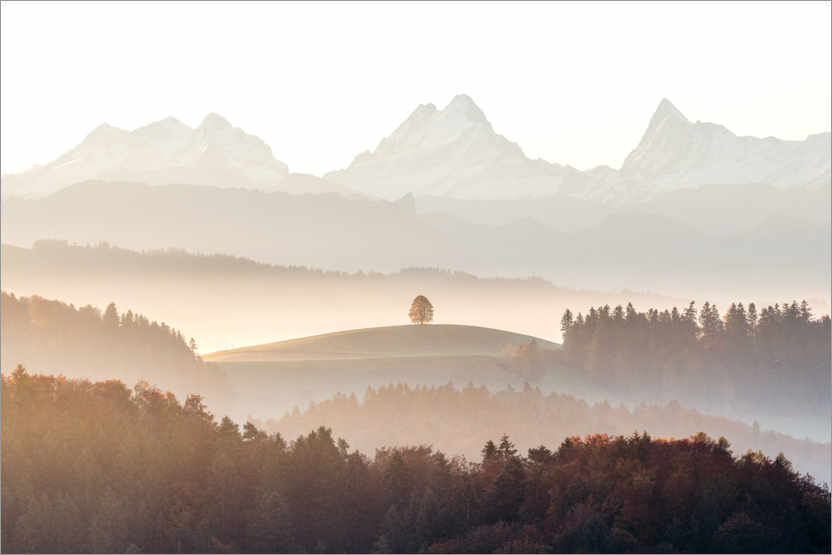 Plakat Eiger, Mönch and Jungfrau on a foggy autumn morning