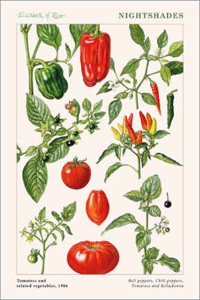 Plakat  Tomatoes and other nightshades, 1986 - Elizabeth Rice