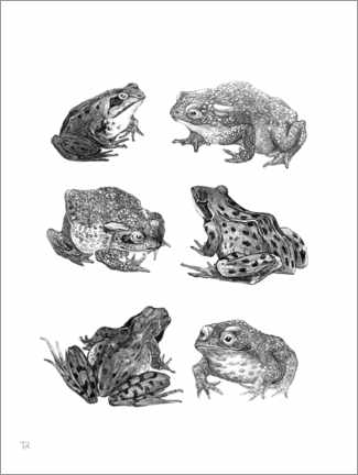 Obraz na szkle akrylowym  Sześć żab i ropucha - Theo van Hoytema