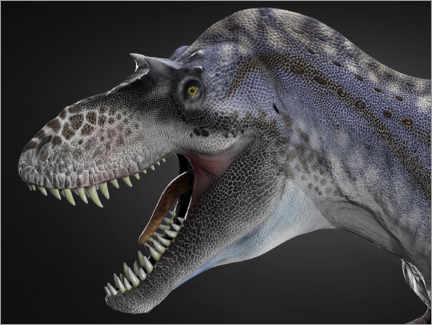 Plakat Albertosaurus portrait
