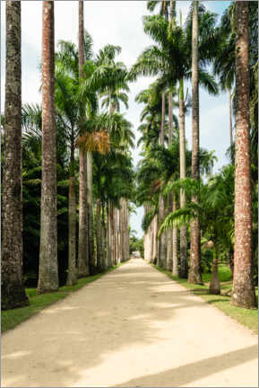 Obraz na płótnie  Palm tree avenue in Rio de Janeiro - Road To Aloha