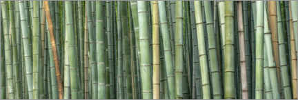 Plakat Bamboo