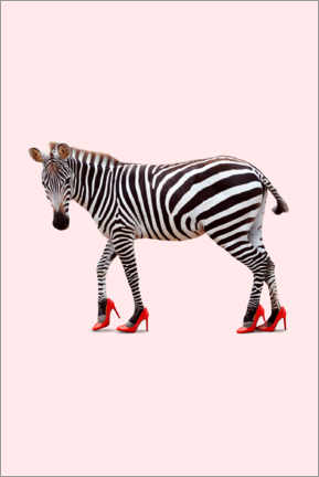 Obraz na drewnie  Zebra na szpilkach - Jonas Loose