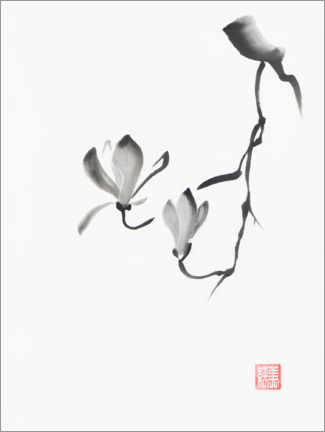 Obraz na drewnie  Gałąź magnolii z kwiatami - Maxim Images