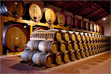 Plakat  Wine cellar, Cantina Pellegrino - fotosol