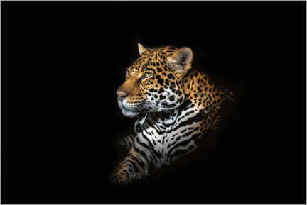 Obraz na szkle akrylowym  Jaguar portrait - Richard Reames