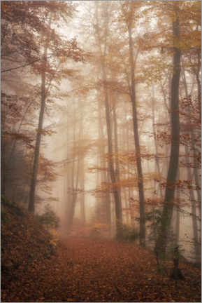 Plakat Autumn forest
