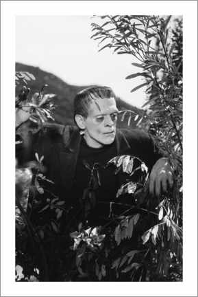 Obraz na płótnie  Frankenstein - Vintage shoot III