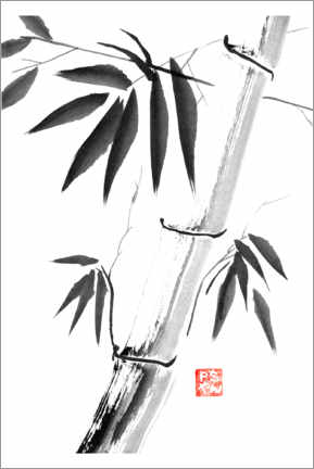 Obraz na płótnie  Bamboos 06 - Péchane