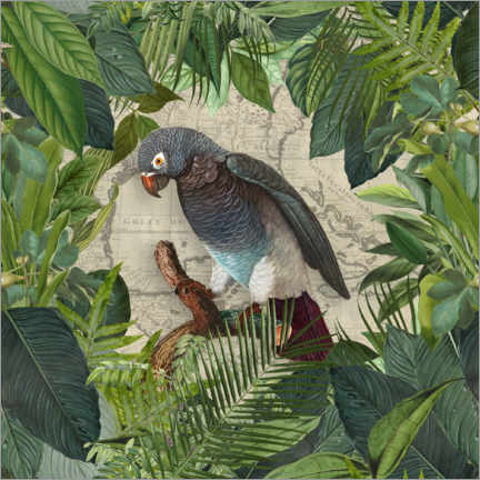 Obraz na drewnie  Parrots Paradise Garden - Andrea Haase