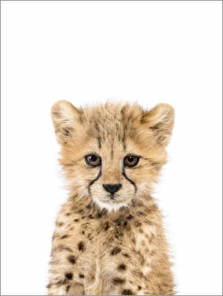Obraz na płótnie  Baby Cheetah - Sisi And Seb