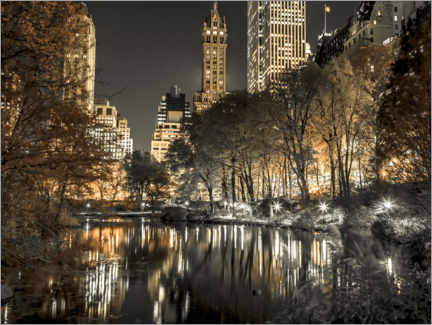 Obraz na szkle akrylowym  Central park at Night - Assaf Frank