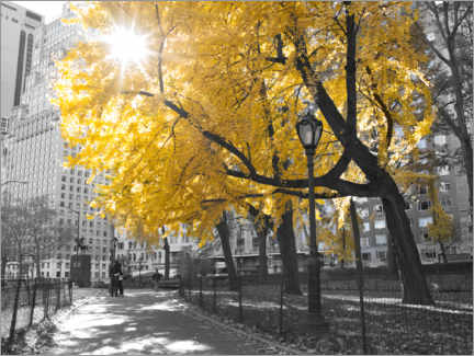 Plakat Yellow tree in New York I
