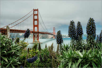 Plakat  Golden Gate Bridge, San Francisco - Stefan Becker