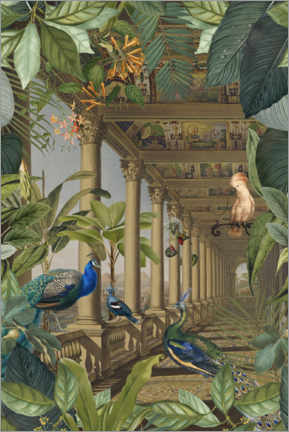 Obraz na płótnie  Lost Jungle Place With Peacocks - Andrea Haase