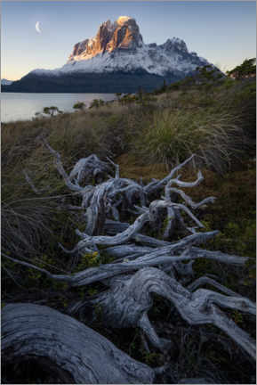 Plakat  Moonrise In Patagonian Fjords - Steve Berkley