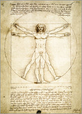 Naklejka na ścianę  Człowiek witruwiański - Leonardo da Vinci