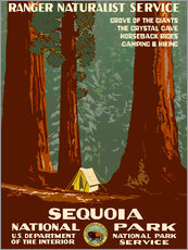 Naklejka na ścianę  Sequoia National Park - Vintage Travel Collection