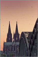 Naklejka na ścianę  Köln - euregiophoto