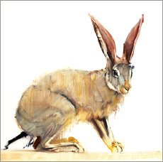 Gallery print  Hare - Mark Adlington