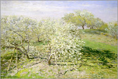 Naklejka na ścianę  Kwitnące jabłonie - Claude Monet