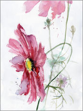 Naklejka na ścianę  Cosmos flower watercolor - Verbrugge Watercolor