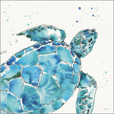 Obraz na szkle akrylowym  Turtle IX - Anne Tavoletti