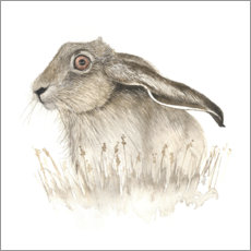 Plakat Hare
