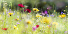 Obraz na szkle akrylowym  Wildflower meadow in bloom - Lichtspielart