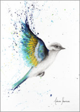 Plakat Blue Wing Bird