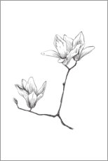 Obraz na szkle akrylowym  Magnolia - RNDMS