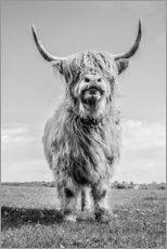 Obraz na drewnie  Scottish Highland Cattle - Art Couture