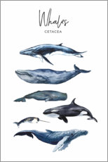 Plakat  Whales - Art Couture