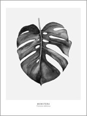 Obraz na drewnie  Monster leaf illustration - Art Couture