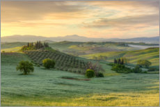 Plakat Tuscany in the early morning light