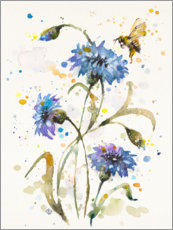 Obraz na szkle akrylowym  Cornflower &amp; Bumblebee - Sillier Than Sally