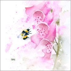 Obraz na PCV  Bumblebee on foxglove - Rachel McNaughton