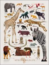 Obraz na szkle akrylowym  Zwierzęta afryki (angielski) - Dieter Braun