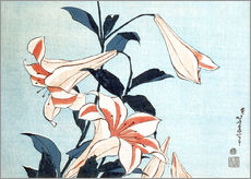 Naklejka na ścianę  Trumpet lilies - Katsushika Hokusai