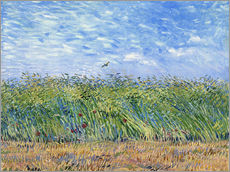 Naklejka na ścianę  Pole zbóż z makami i kuropatwą - Vincent van Gogh